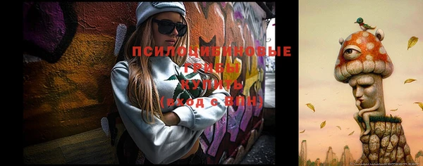 индика Абдулино