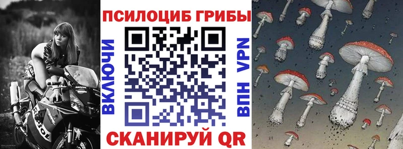 Псилоцибиновые грибы ЛСД  kraken вход  Хадыженск  где продают  